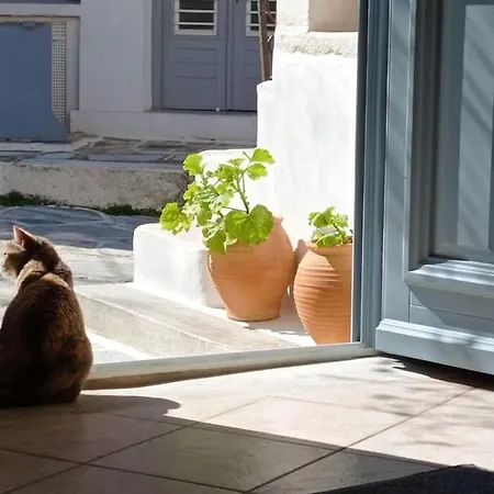 Moscha's Pink House In Chalki בית נופש *